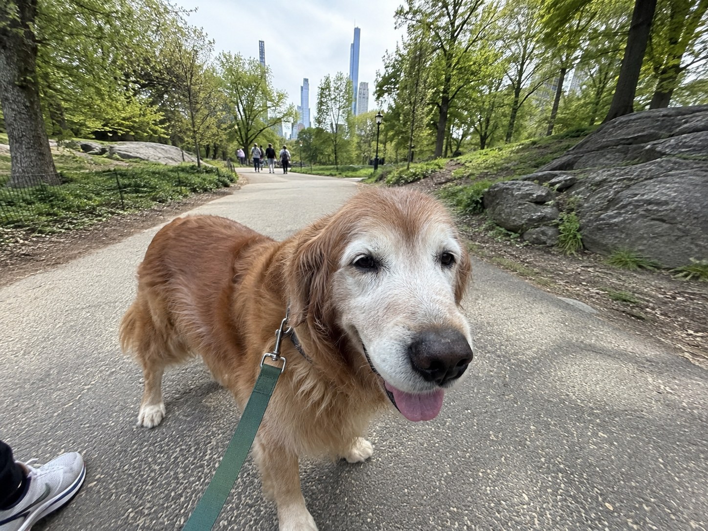 08-central-park-golden-senior